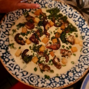Pulpo