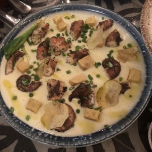 Pulpo