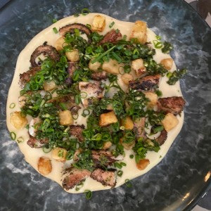 Pulpo