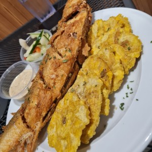corvina entera 