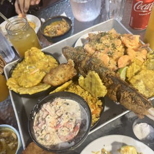 Bandeja 2-4 peesonas