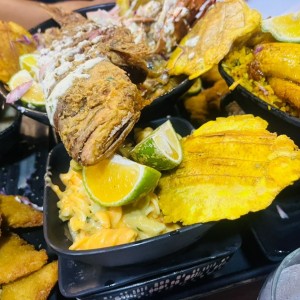 Bandeja para 4 personas