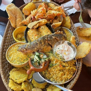 Bandeja de 65