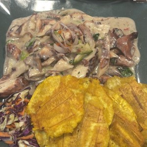 Pulpo