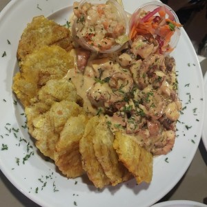 pulpo