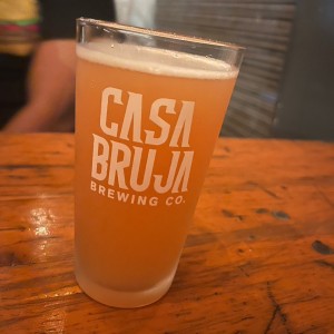 Gose Frambuesa