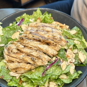 Oriental Chicken Salad Regular 10.99$