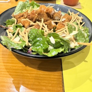 Oriental Chicken Salad Regular