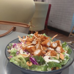 ensanlada y pollo crispy