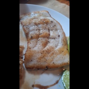 Corvina a la plancha