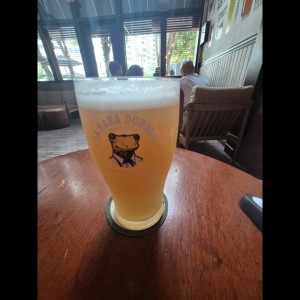 cervezas