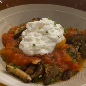 Ropa Vieja 