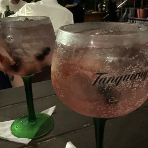 Ginebra con frutos rojos