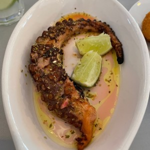 pulpo