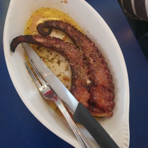 Pulpo