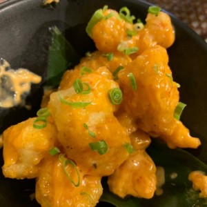 Rock Shrimp