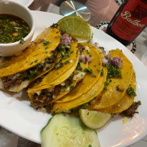 tacos la birra