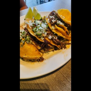 Birria - 4 Quesatacos
