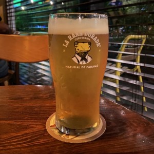 IPA