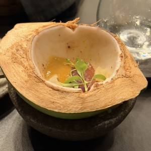Salmon 