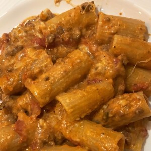 rigatoni pasticcio a la bolognesa