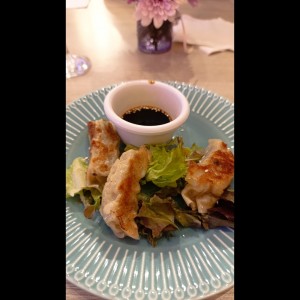 dumplings de cerdo