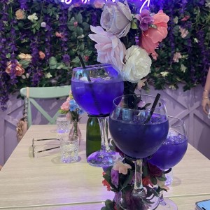 Cocteles