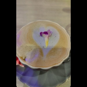 Latte Lavanda