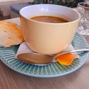 Sopa de vegetales