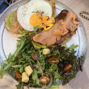 Avocado Mixto