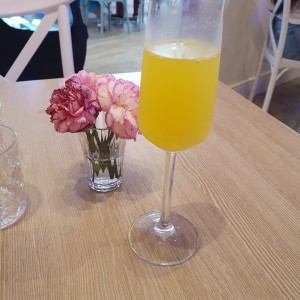 Mimosa Naranja