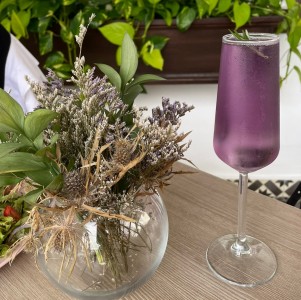 Mimosa de Lavanda