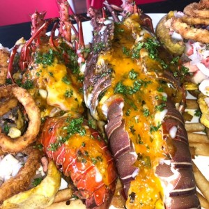Lobster