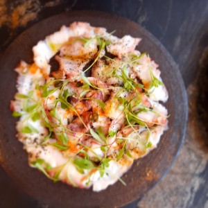 pulpo