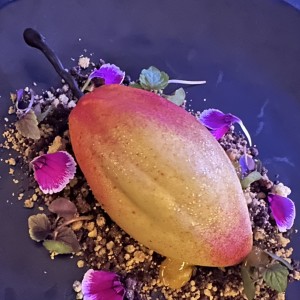 Postres - Cacao Salvaje