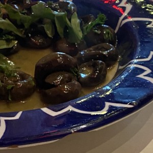 Hongos