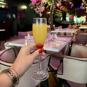Mimosa