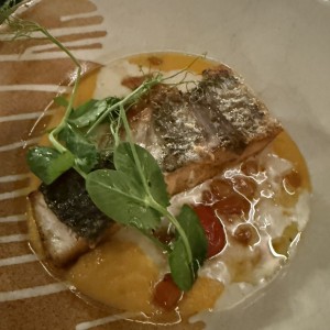 Pesca del Giorno