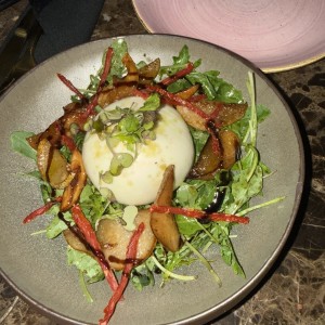 Antipasti - Insalata di Burrata