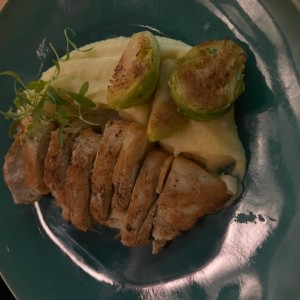 Pollo
