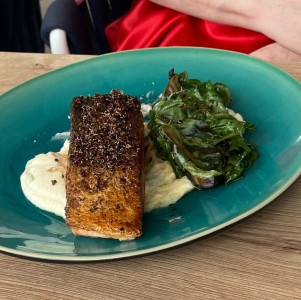 Salmon