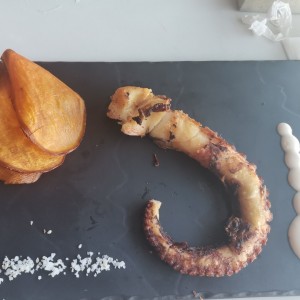 Pulpo