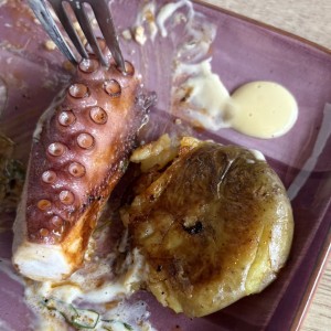 Pulpo