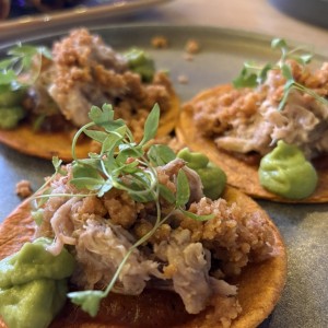 TAQUITOS DE CARNITA (3U)