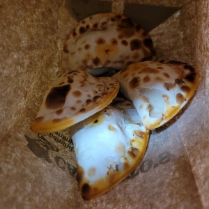empanadas carne picante