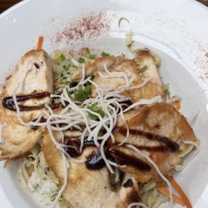 Teriyaki de Filete de Pollo