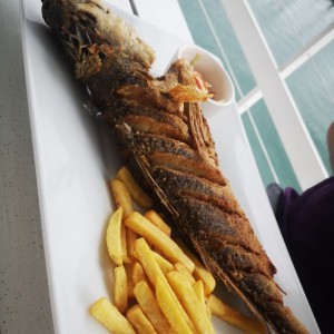 Pescado - Corvina Sea Food