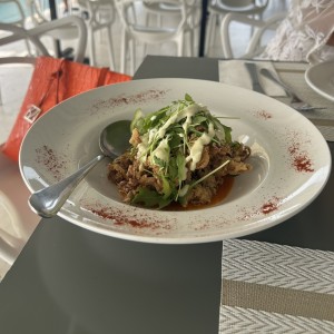 Arañitas de la casa