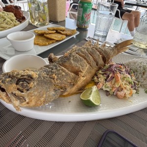 Corvina frita