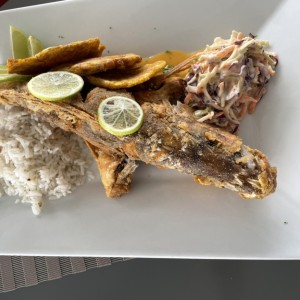 Parto rojo frito